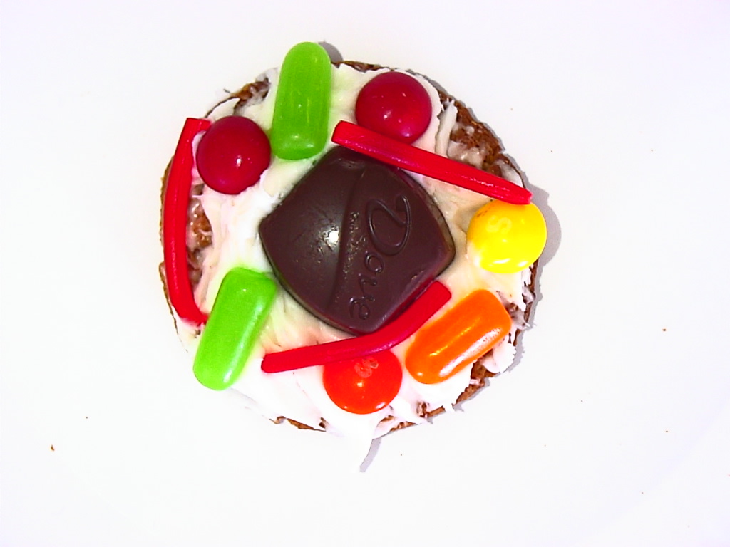 Edible Cell Models