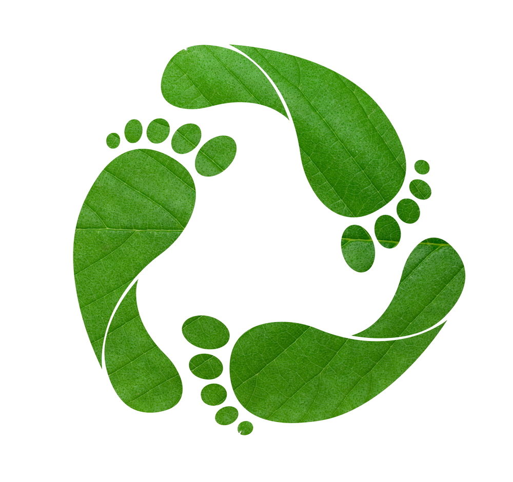 What is my Ecological Footprint?